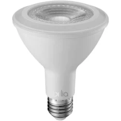 lampada led par 30